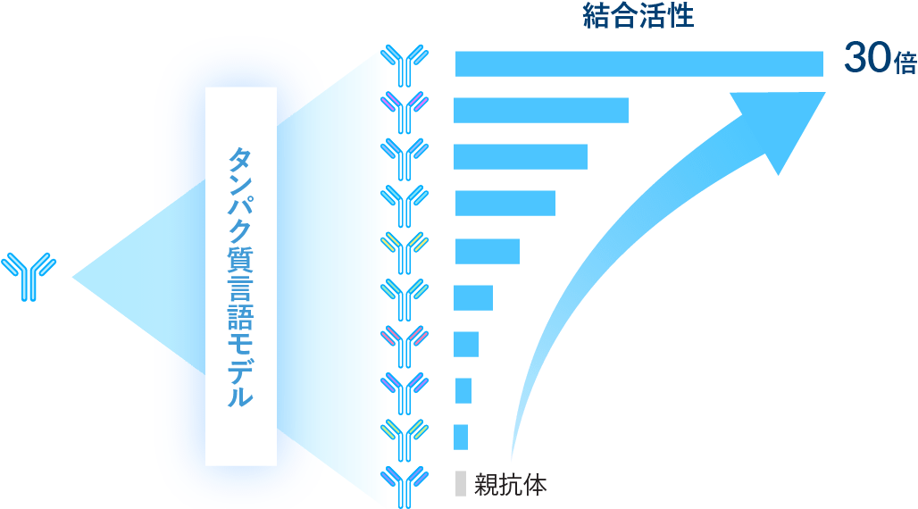 試験した32種の抗体の多くが親抗体と同等の性能