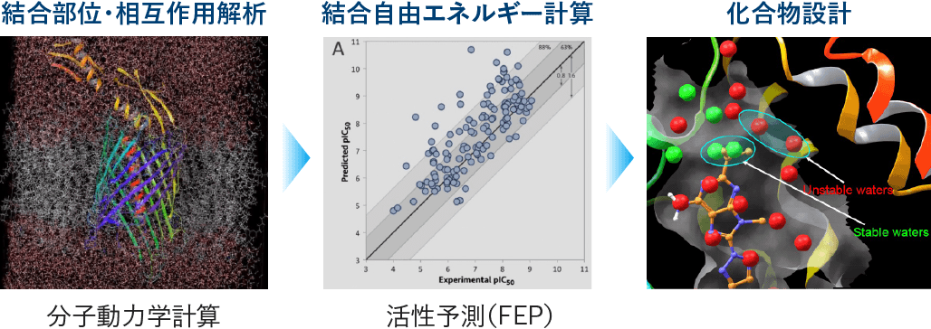 タンパク質構造情報に基づく化合物の設計
